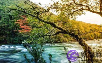 处暑热不热？属蛇的处暑节气出生命好吗？