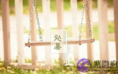 属虎的人处暑出生命如何？处暑节气的特点三候