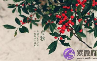 020年立秋节气丑时出生宝宝喜用神是什麽命如何？"