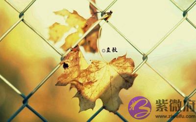 020年立秋节气卯时出生的宝宝喜用神是什麽？"