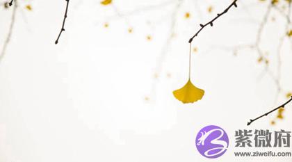 020立秋怀孕好吗,2020年立秋怀孕预产期是什麽时候？"