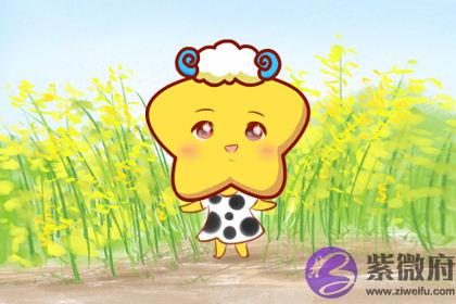生辰金多的男人命运如何 好不好