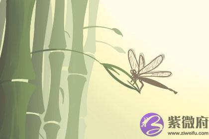 四月初四生的是娘娘命 