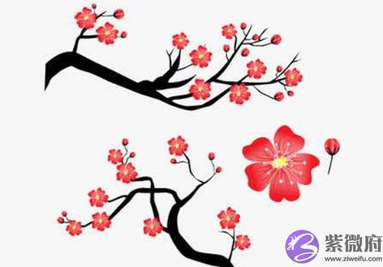 2020年8月18号六月二十九出生的孩子性格命运解析,五行八字查询