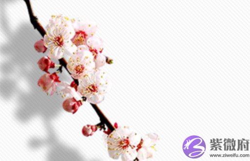 2020年7月26号六月初六出生的宝宝性格命运解析，五行八字查询