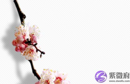 2020年7月27号六月初七出生的宝宝性格命运解析，五行八字查询