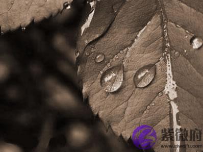 生辰十天干详细说明：壬水