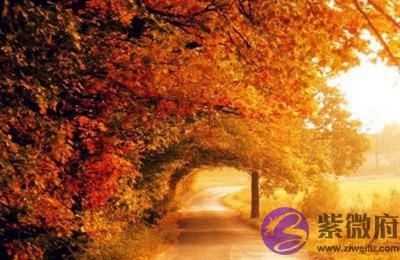 020庚子鼠年农历八月哪天出生好？"