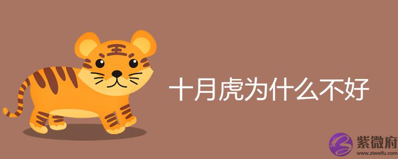 十月虎为什麽不好 几月出生最命苦