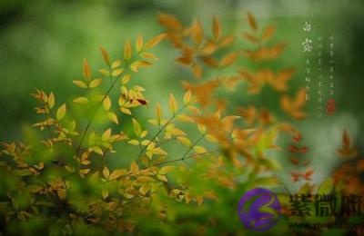 020年白露节气前一天七月十九日可以求嗣吗？"