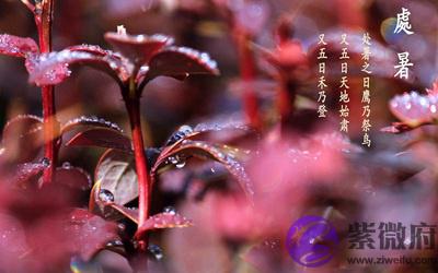020年七月初四日处暑节气适合求嗣吗？"