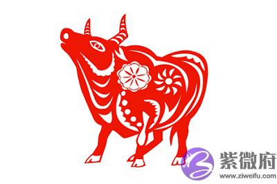 021辛丑年农历二月十三出生的宝宝命运怎麽样?"