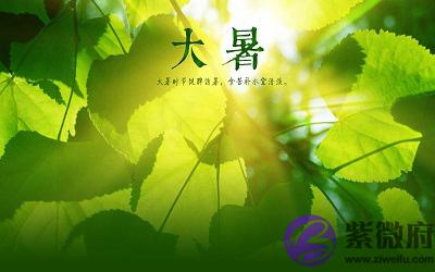 020庚子鼠年大暑节气午时出生是不是命很好?"