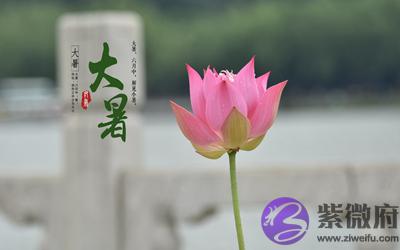 020年大暑节气酉时喜用神解析命运如何？"