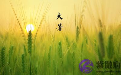 020年六月初二大暑节气戌时出生的宝宝命好吗?"