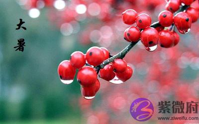 020年7月22日大暑节气巳时出生喜用神是什麽?"
