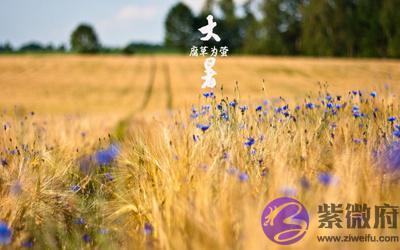 020年7月22日大暑节气巳时出生喜用神是什麽?"
