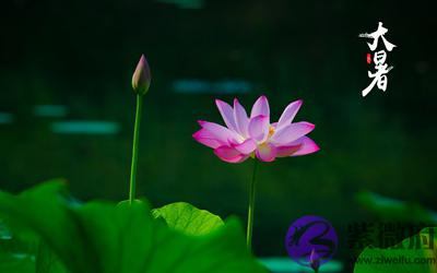 020鼠年大暑节气申时出生是什麽命？五行缺什麽？"