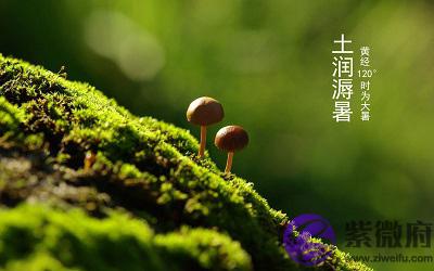 020庚子年大暑节气丑时出生命好吗五行喜用神解析"