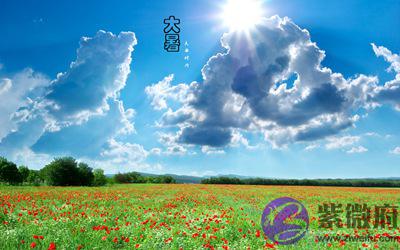 020庚子年大暑节气丑时出生命好吗五行喜用神解析"