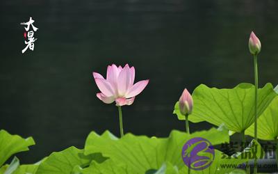 020庚子鼠年大暑节气亥时出生喜用神是什麽？"