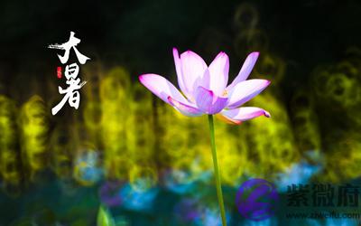 020年大暑节气子时出生宝宝喜用神是什麽命如何?"
