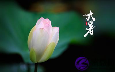 生肖属猪大暑节气出生的人命运怎麽样？2020大暑卦象