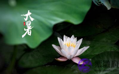 020年大暑结婚好吗?肖蛇人大暑节气命运是什麽样的?"