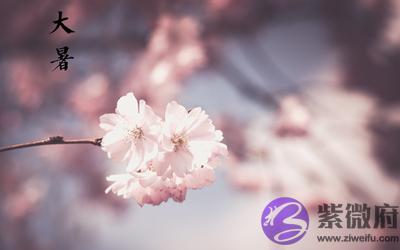 大暑是不是就是三伏天了？2020大暑出生的男孩好吗？