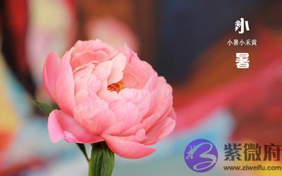 小暑节气适不适合同房?2020年小暑节气怀孕好吗?