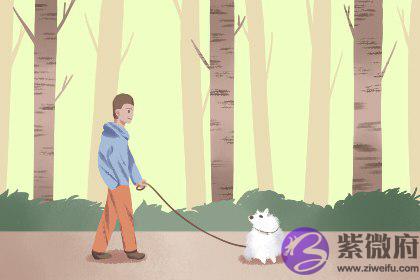 日柱富贵八字特征