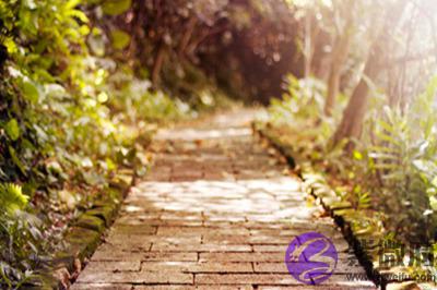 三伏天有几天?2020鼠年三伏天出生的人命运好吗?