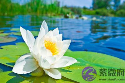 三伏天有几天?2020鼠年三伏天出生的人命运好吗?