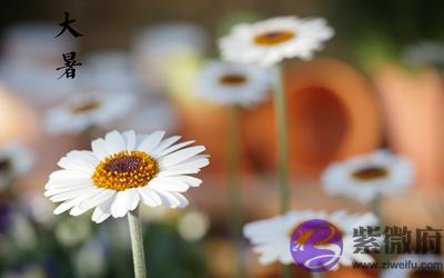 020鼠年农历六月初二大暑节气适合求嗣吗?"