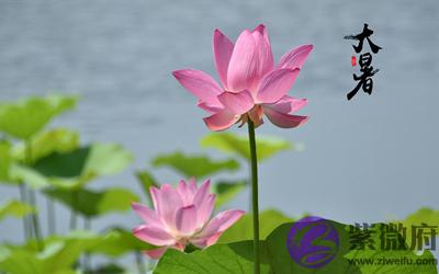 020鼠年农历六月初二大暑节气适合求嗣吗?"