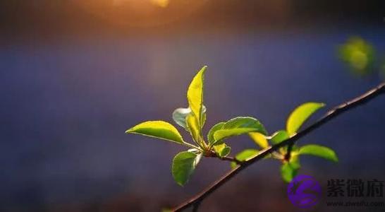庚子年, 辛巳月周运:5月25日——5月29日
