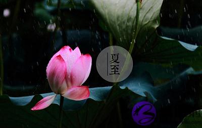 020年夏至节气戌时生人五行缺什麽，是什麽命？"