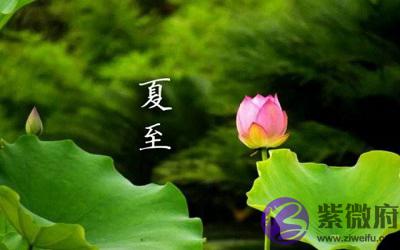 属羊的人夏至出生命好吗?2020夏至前一天是黄道吉日吗?