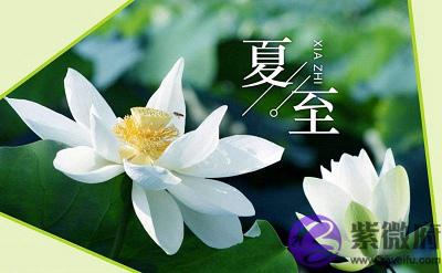020夏至前一天适合搬家吗?夏至出生属马的人命好吗?"