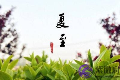 020鼠年夏至节气酉时出生的宝宝命好吗？"