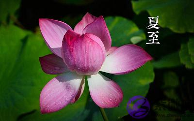 属牛的人夏至出生好吗?夏至的下一个节气是什麽?