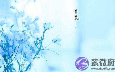 属牛的人夏至出生好吗?夏至的下一个节气是什麽?