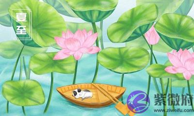 020庚子年夏至节气未时出生命理解析"
