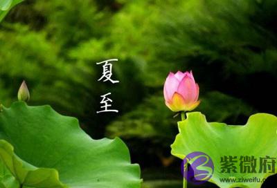 020庚子鼠年夏至节气亥时出生的人是什麽命?"