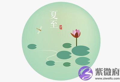 020庚子鼠年夏至节气亥时出生的人是什麽命?"