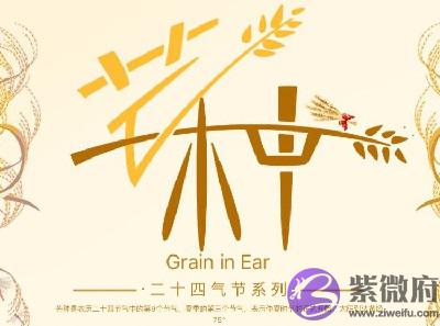 020年芒种节气午时出生的宝宝命运怎麽样?"