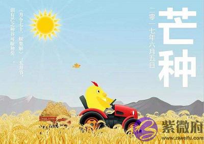 020年芒种节气午时出生的宝宝命运怎麽样?"