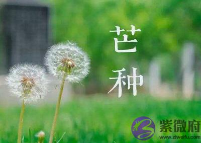 020庚子年芒种节气子时出生的宝宝命运如何?"