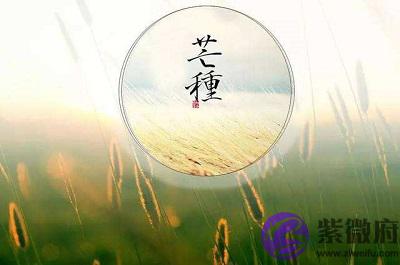 020庚子年芒种节气子时出生的宝宝命运如何?"