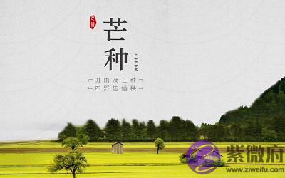 020鼠年芒种节气戌时出生属鼠宝宝命好吗？"